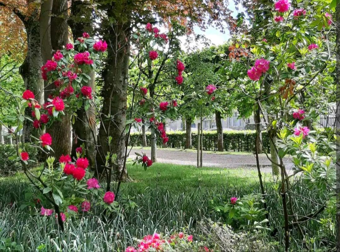 La Romantique Bourges Exterior foto